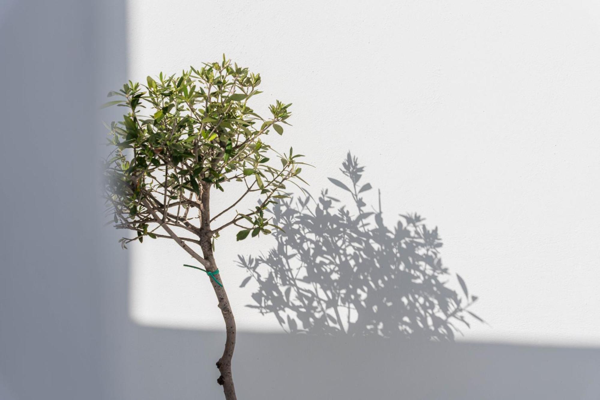 Cycladic Suites & Spa Firá Buitenkant foto